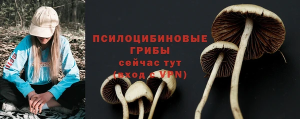 соль курить ск Армянск