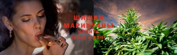 MESCALINE Аркадак