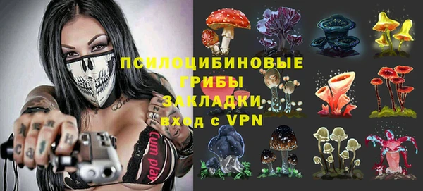 MESCALINE Аркадак