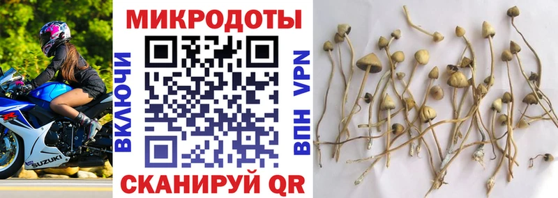 mega   Спас-Клепики  Псилоцибиновые грибы ЛСД 